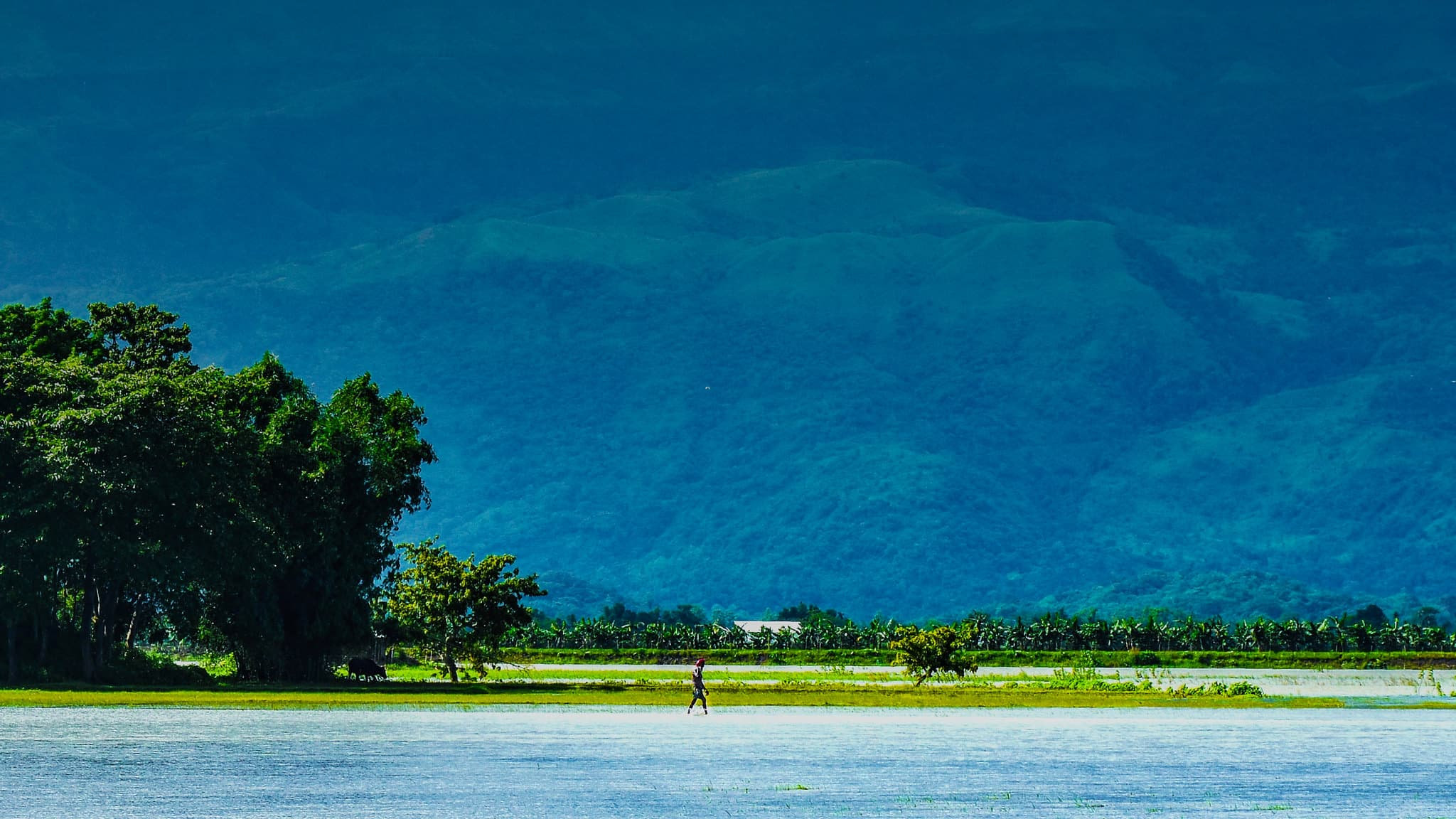 Nature Photography by Ajmain Fayek