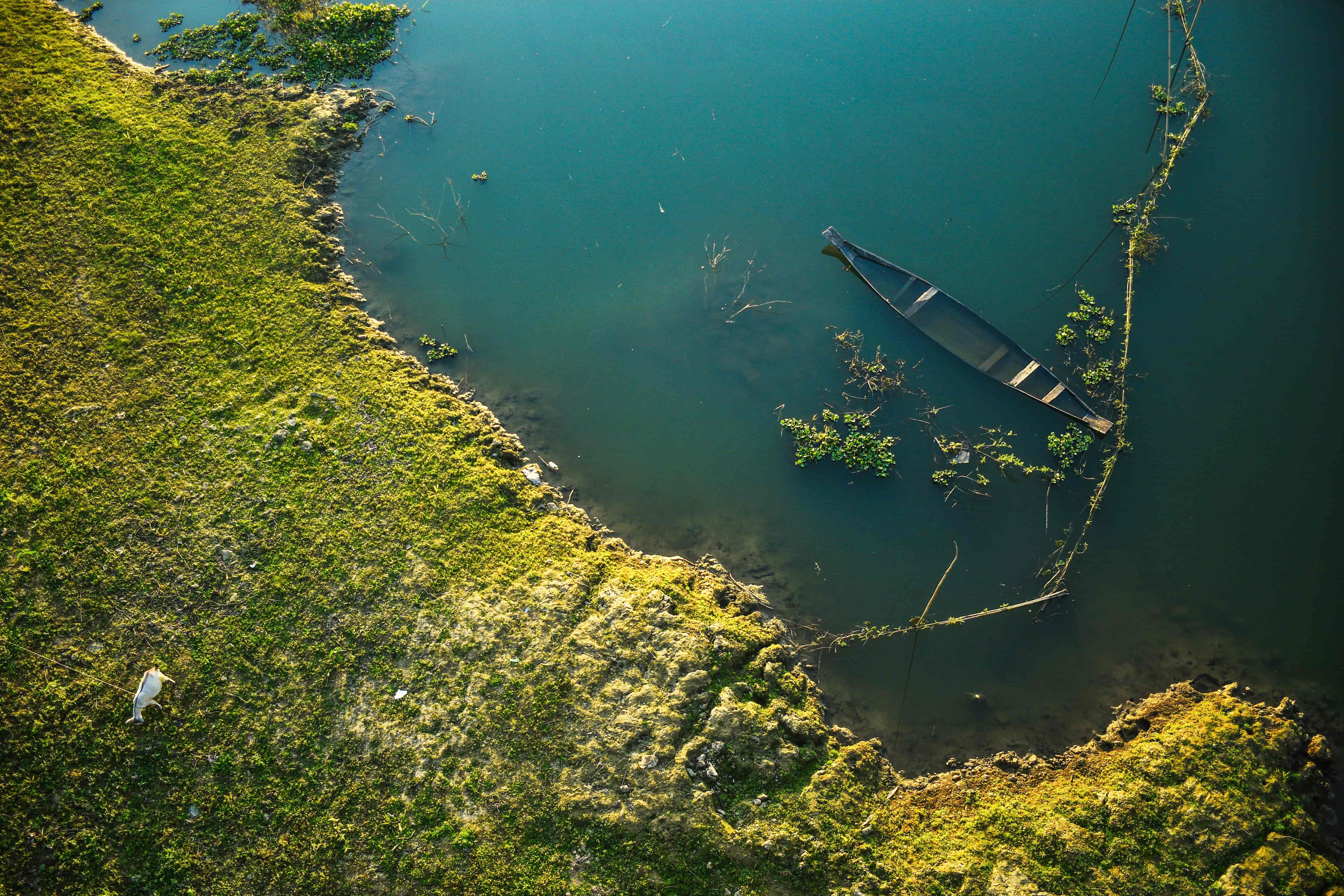Boat and nature photography by Ajmain Fayek